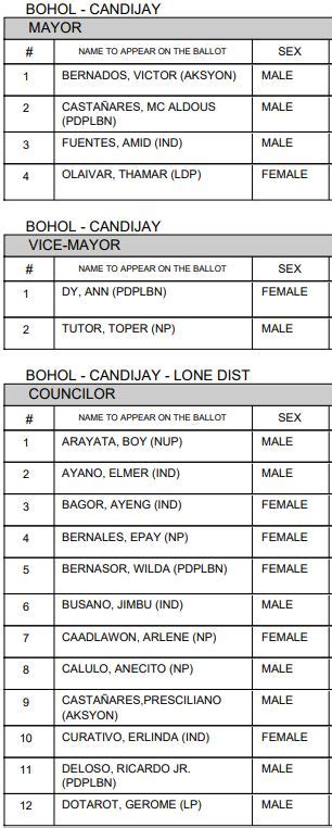 bohol mayor's list|Candijay Councilors, Mayor, Vice Mayor .